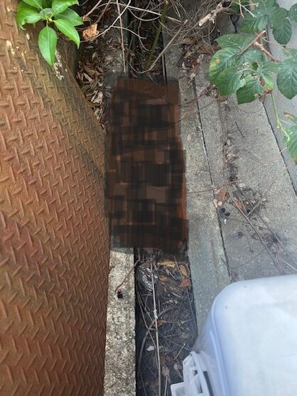 猫死骸処理　大阪市