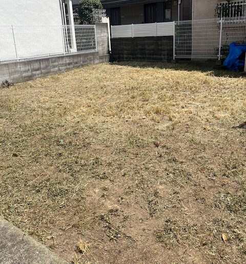 雑草の草刈り作業