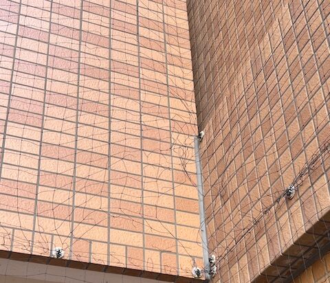 カラス死骸駆除ネット修理