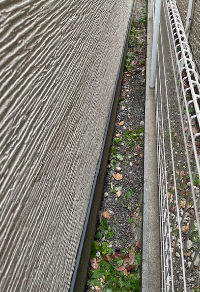 路地で猫の死骸を回収し、清掃・消毒を行うスタッフの作業風景（大阪市平野区）